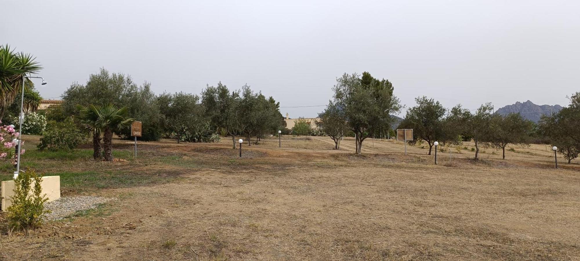 Sa Teria Village - Appartamenti - Tertenia Exterior photo