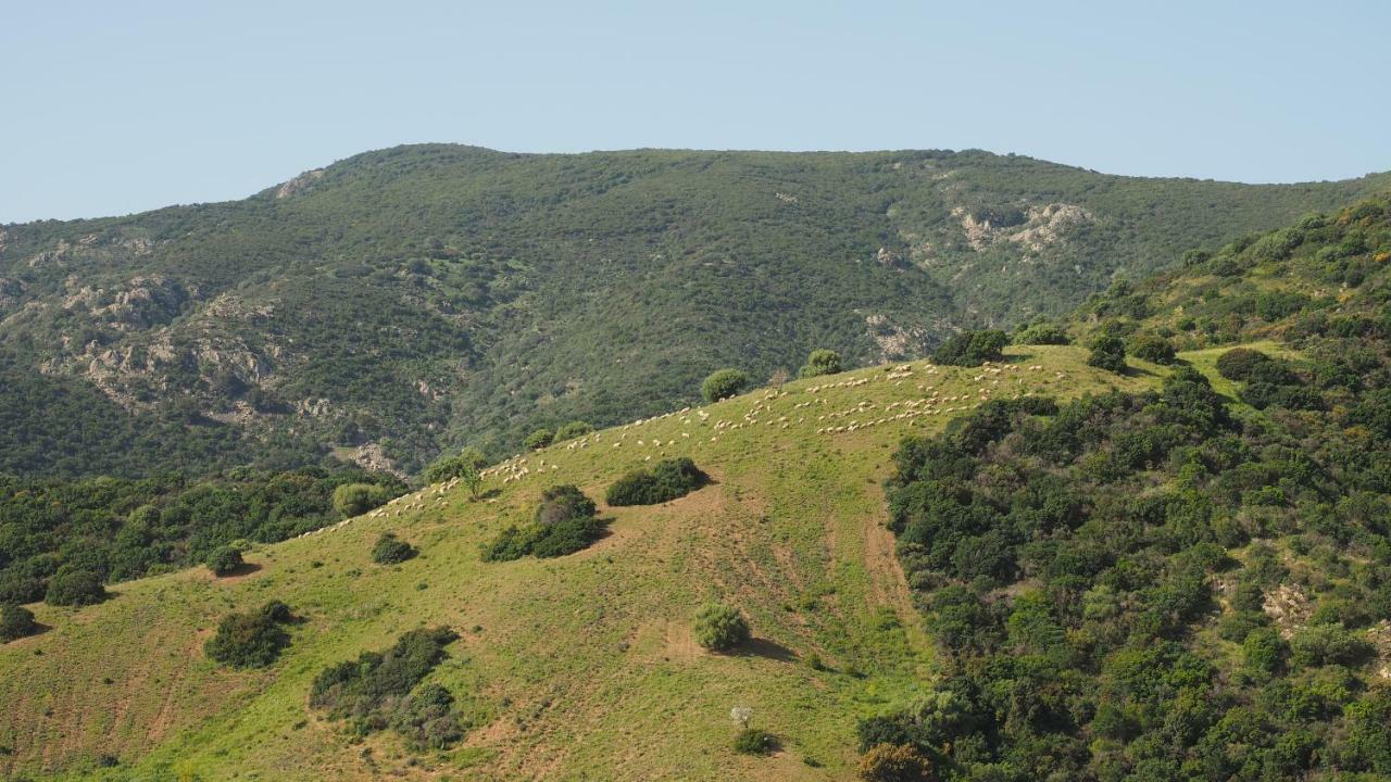 Sa Teria Village - Appartamenti - Tertenia Exterior photo